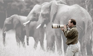 Photographing Elephant in Zimbabwe