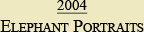 2004 - Elephant Portraits